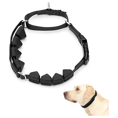 Petsafe Collar De Entrenamiento De Punta Suave Ayuda A Dej Cuotas