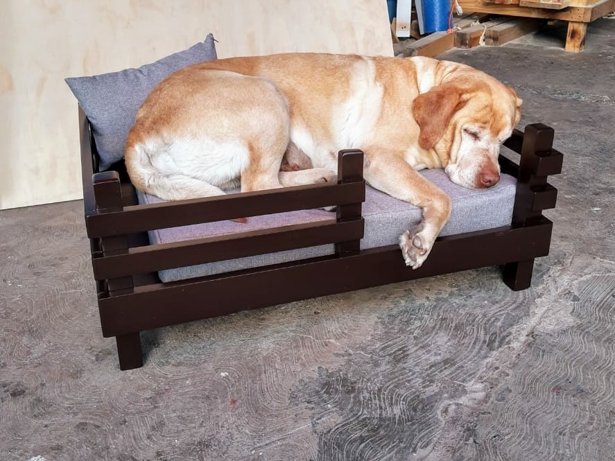 Cama De Madera Para Perro Mercado Libre