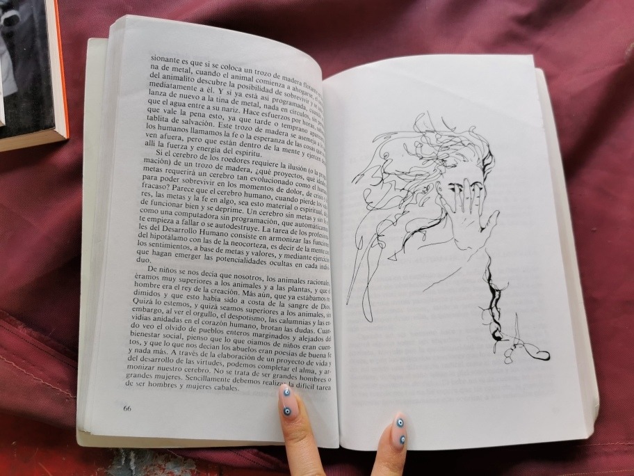 El Despertar Del Mago Sellado Obra Completa Mercado Libre