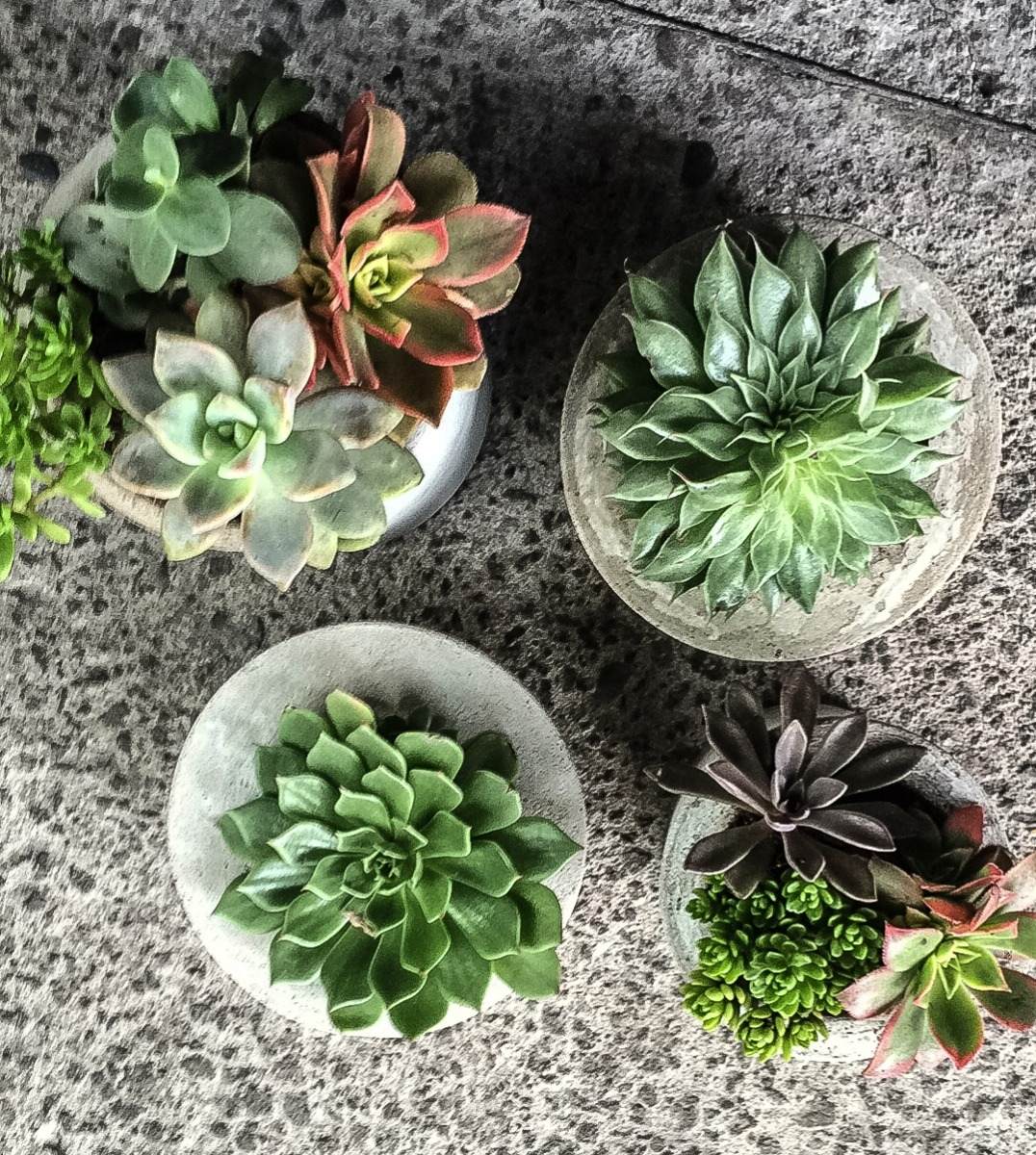 Macetas De Concreto (chicas) Mercado Libre