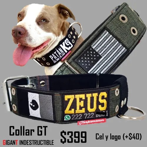 Collar Indestructible Pitbull, Rottweiler, Husky Envío gratis