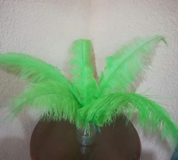Pluma De Auca Macho en Mercado Libre México