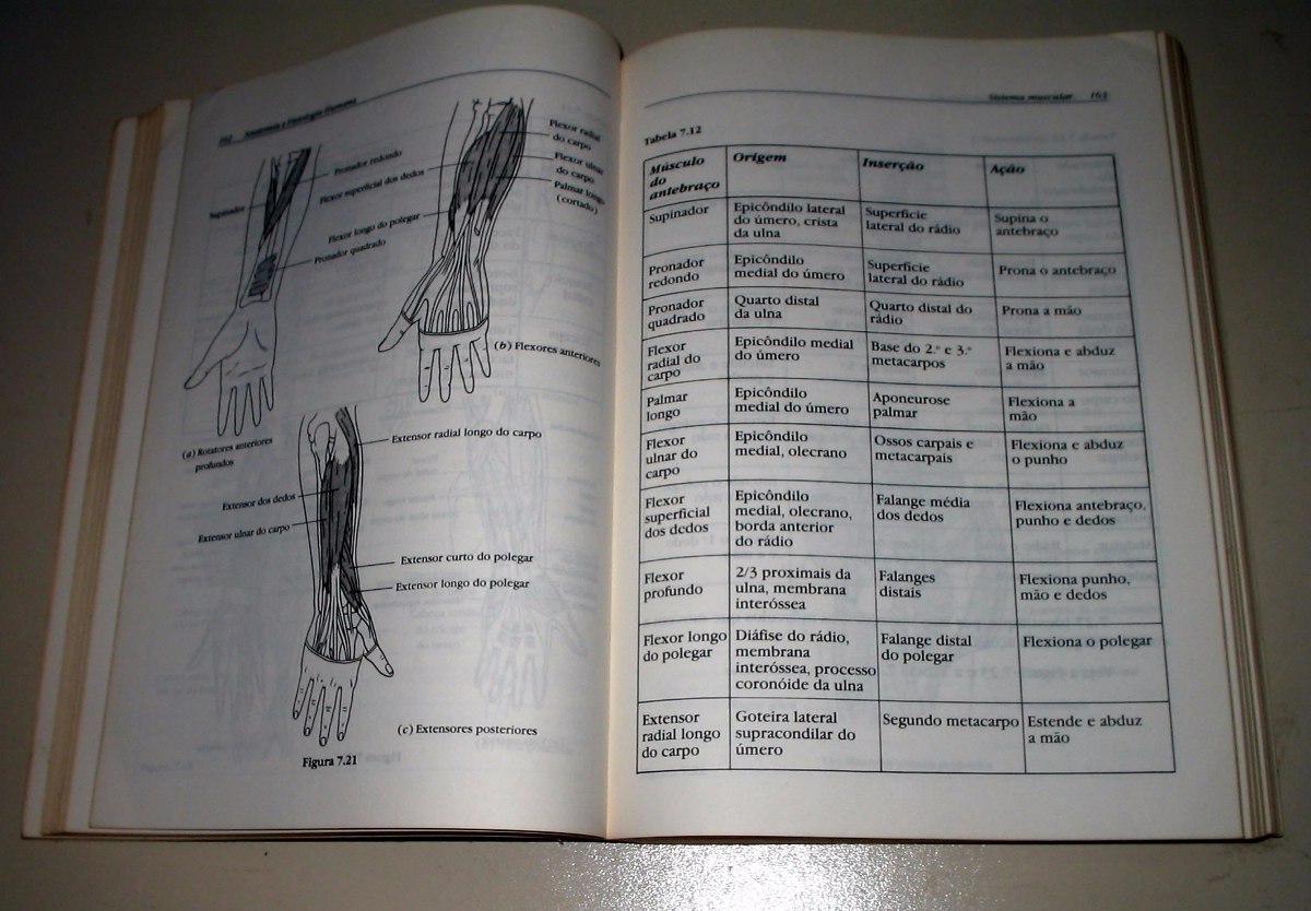 Anatomia E Fisiologia Humana Kent M. Van De Graaff Rhees