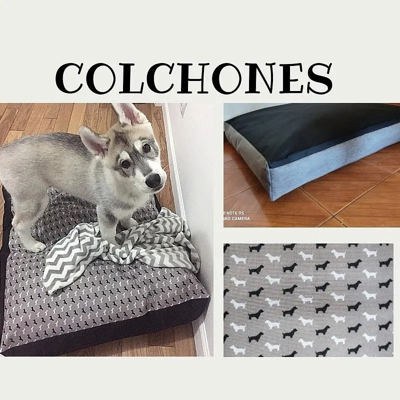 Para Perro Antidesgarro Mercado Libre
