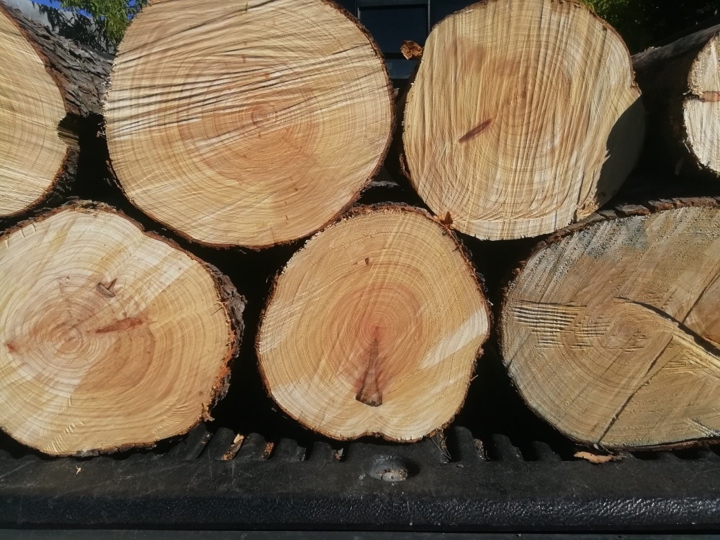 Tronco De Madera Medida De 20 A 25 De Diámetro X 30 De Largo Mercado