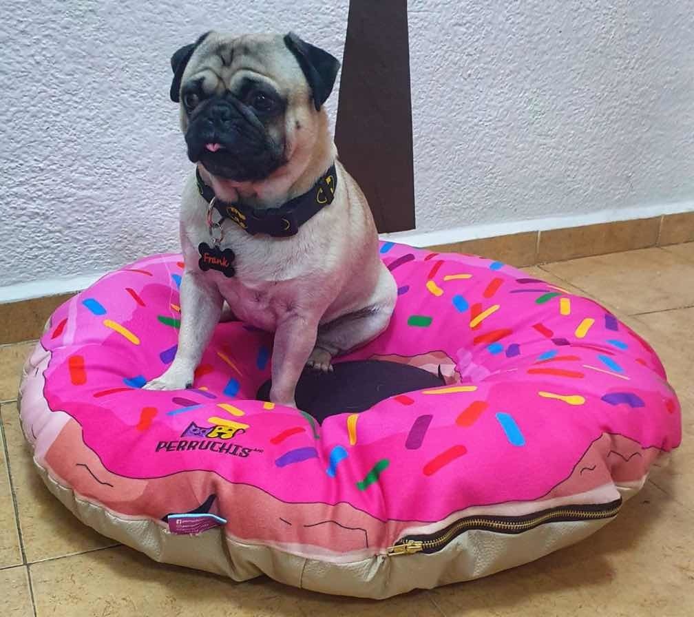 Camas Para Perro ! Chica Hermosas Nuevas! Mercado Libre