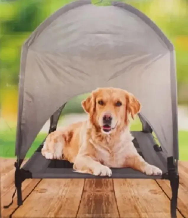 Cama Elevada Con Techito Para Perro Mascota Lona Resistente Envío gratis