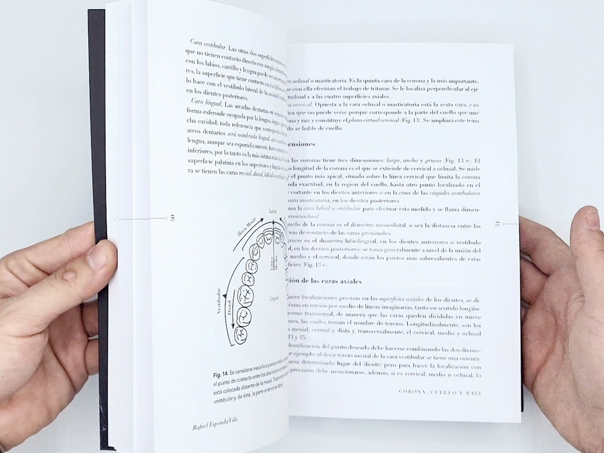 Libro Anatomia Dental [ Unam ] Rafael Esponda Vila LIBRERIA GUADALAJARA