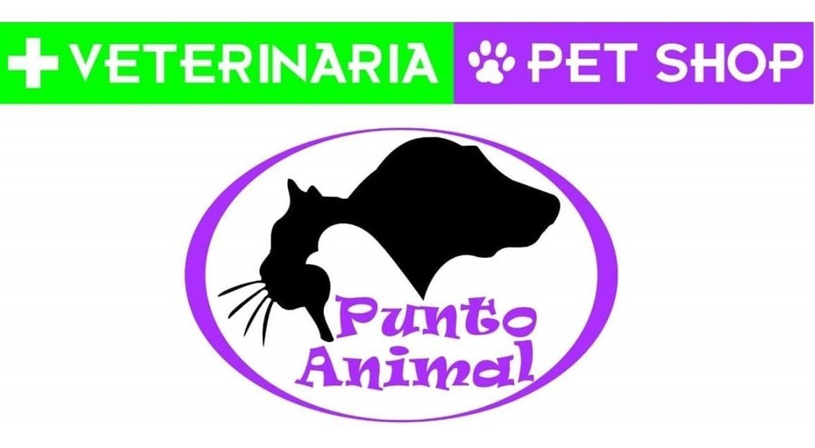 Vital Can Balanced Pupy Large X 20k + Regalo!! Mercado Libre