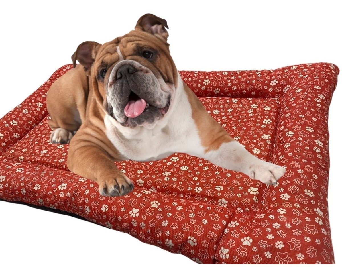 Cama Caminha Para Cachorros Grandes 88x62 Fundo Impermeável MercadoLivre