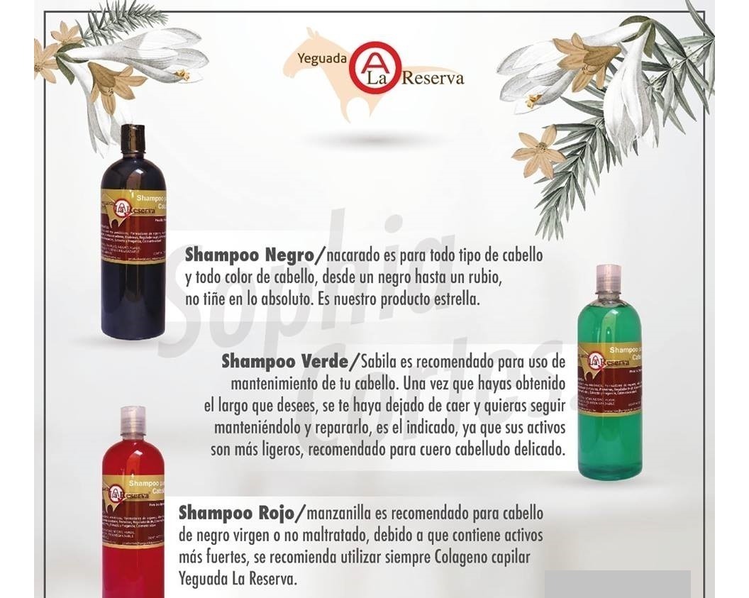 Shampoo Yeguada La Reserva 100 Original + Colageno Jumbo Envío gratis