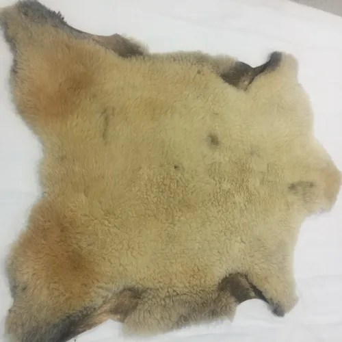 Salea De Borrego Para Enfermos 110cm X 80cm Limpia Envío gratis