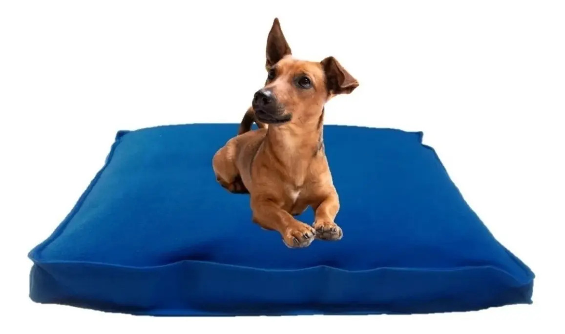 Colchón Antidesgarro Liso 70 X 50 X 8cm Cama Perros Mascotas MercadoLibre