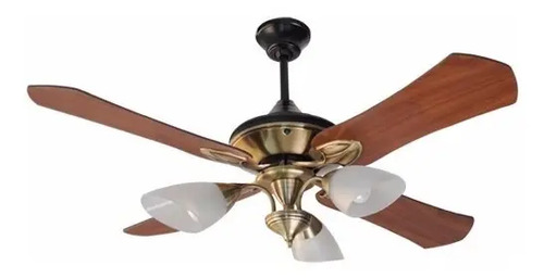 Ventilador De Techo Martin & Martin Motor Pot. Ibiza Araña33 | Envío Gratis