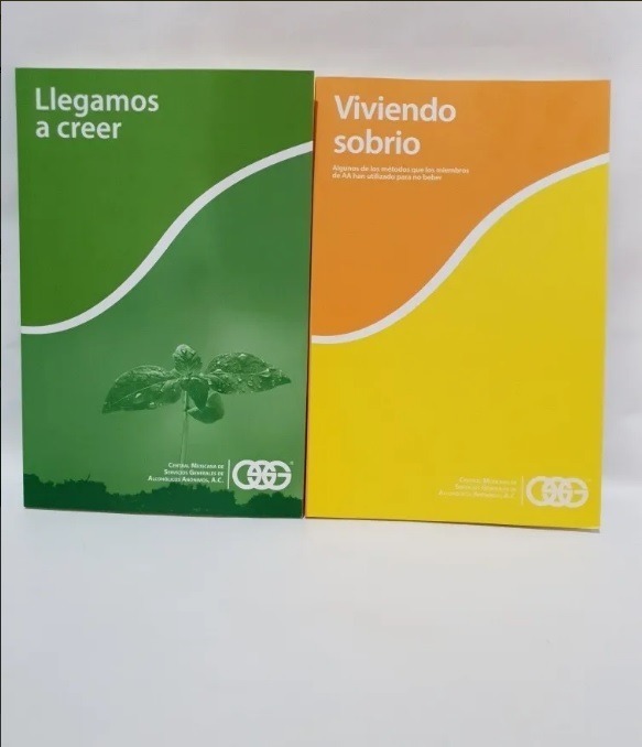 Libro Aa Viviendo Sobrio Y Llegamos A Creer Mercado Libre