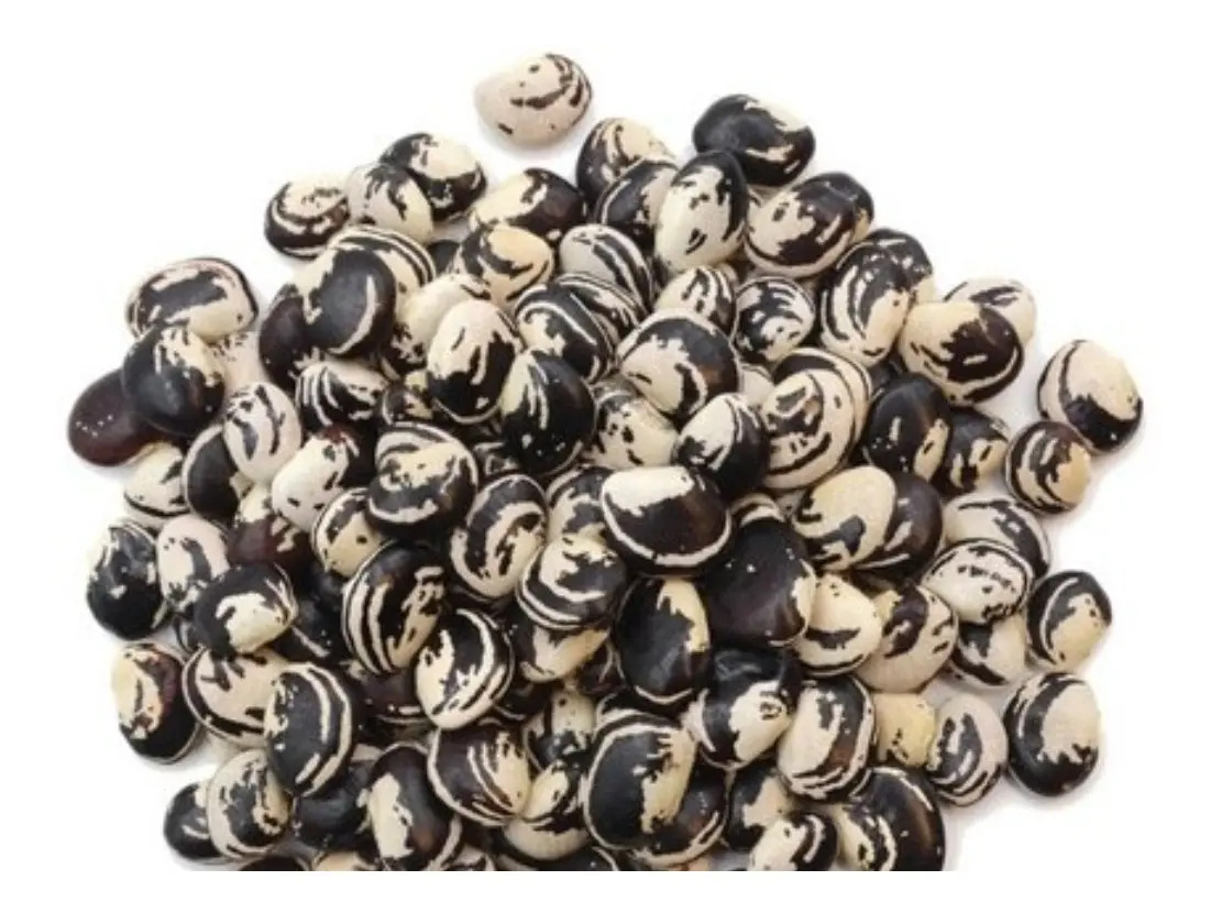 Feijão Fava Preta Para Preparo Ou Plantar 5.kg Mercado Livre