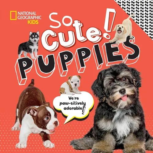 So Cute! Puppies, de Boyer, Crispin. Editorial National Geographic Kids