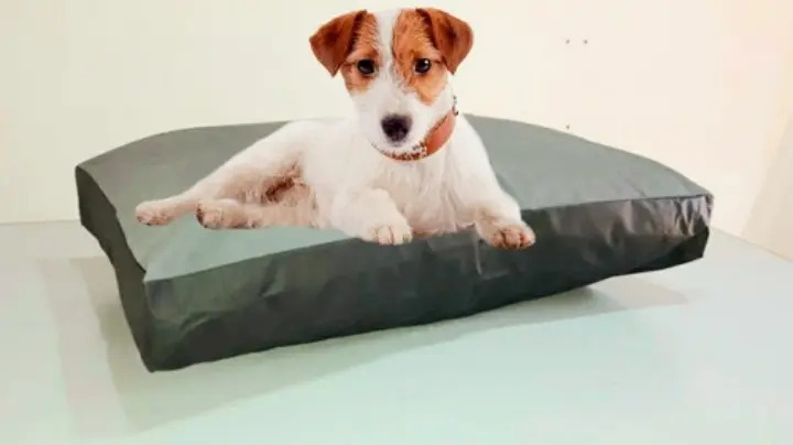 Colchones Para Perros Grandes O Medianos 90x60x12 Mercado Libre