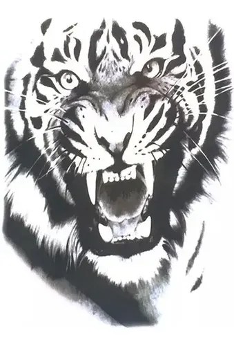 Tatuaje Temporal Realista Tigre Colmillos # Life In A Tattoo | Life_In_A_Tattoo 500_x_339_webp