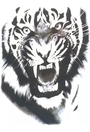 Tatuaje Temporal Tigre | Mercadolibre 📦 565_x_383_jpg