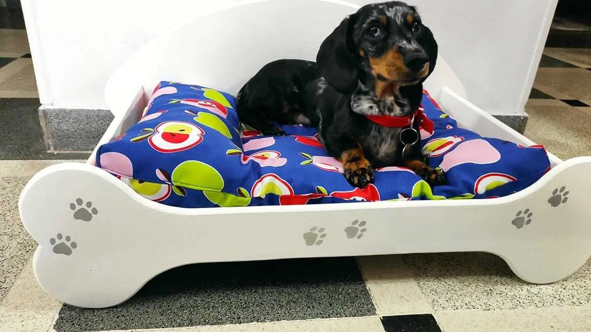 Camas Para Perros Personalizadas Envío gratis
