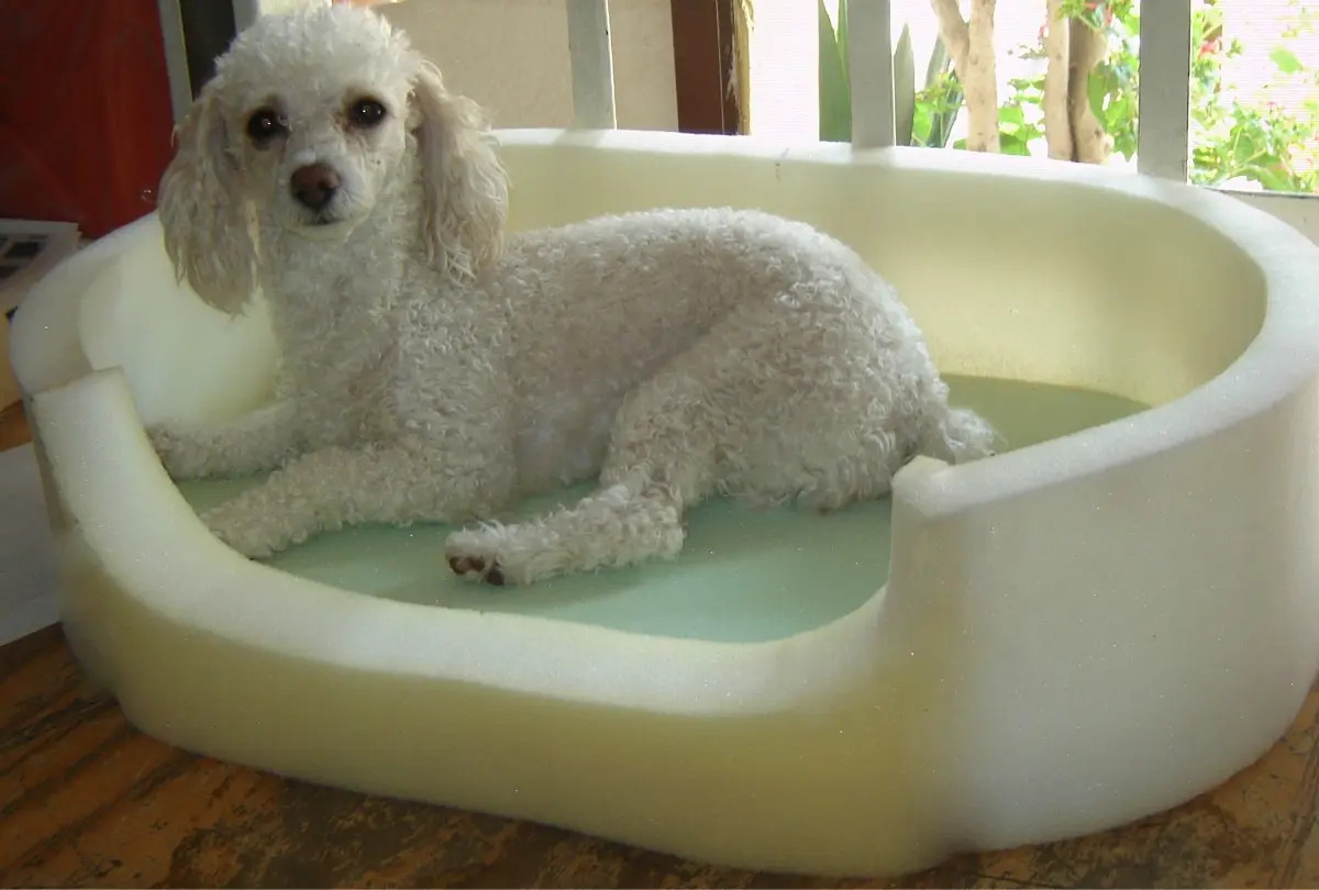 Cama Para Perro 220.00 en Mercado Libre