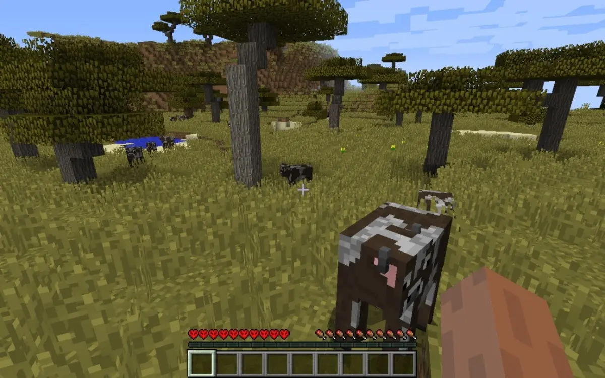 Minecraft Java Edition Win / Linux / Mac Envio