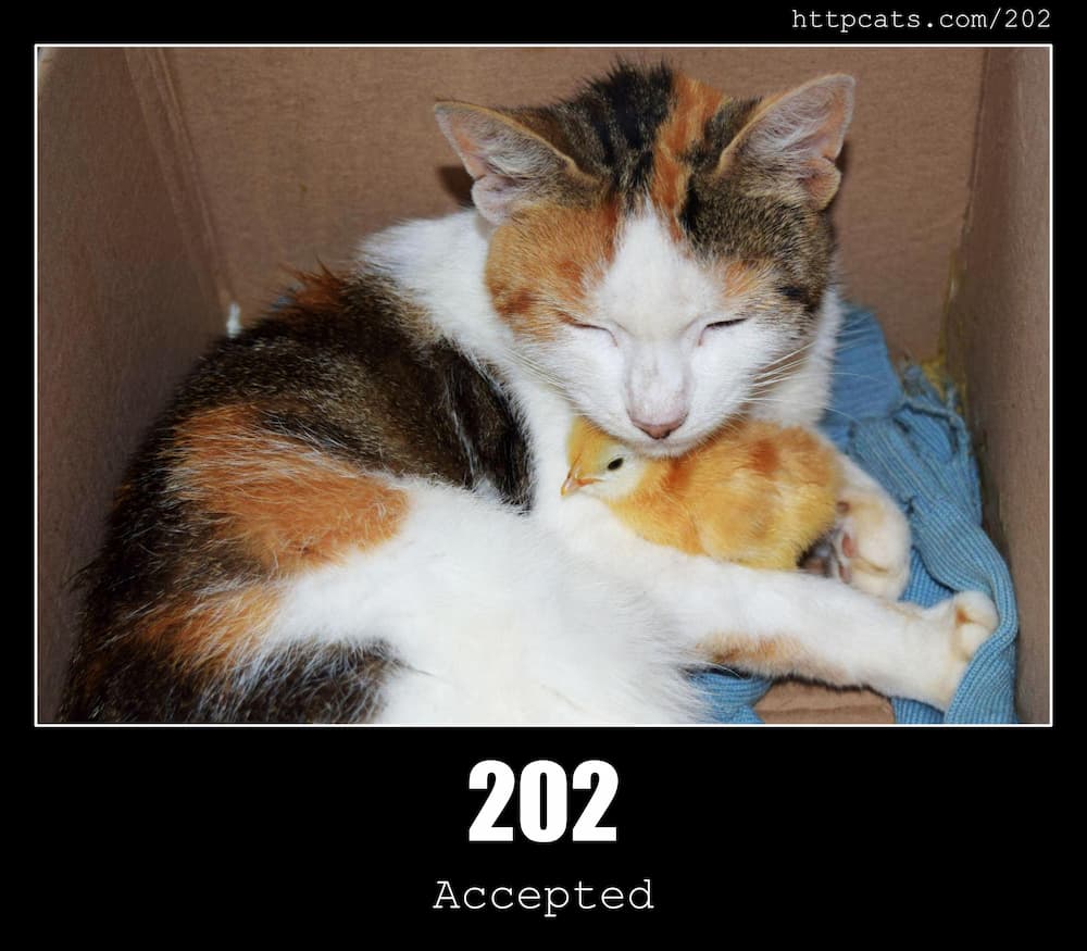 202 Accepted - HTTP status code and cats!