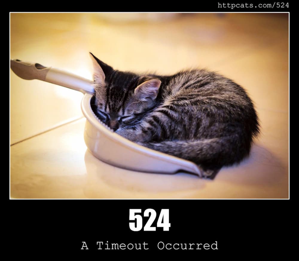524 A Timeout Occurred HTTP status code and cats!