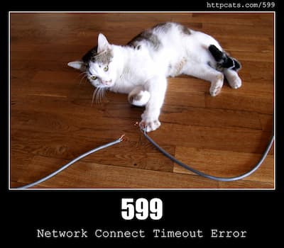599 Network Connect Timeout Error - HTTP status code and cats!