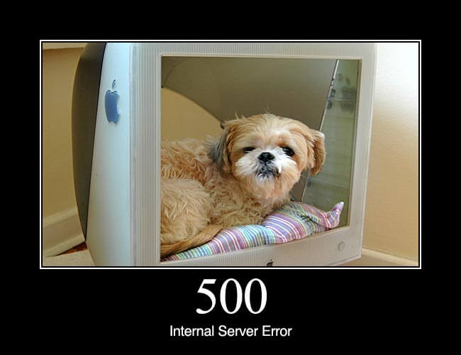 HTTP Status Dogs