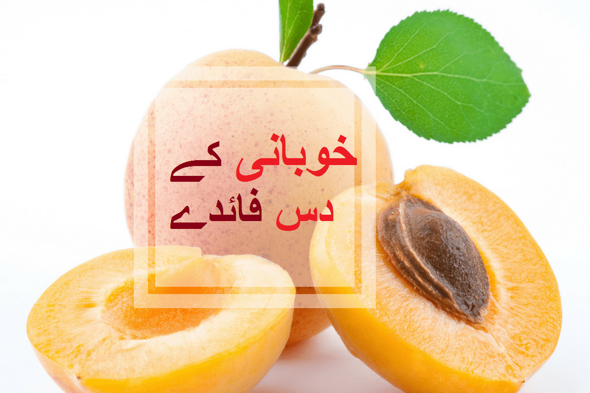 10 health benefits of Delicious Apricot Khobani HTV Urdu
