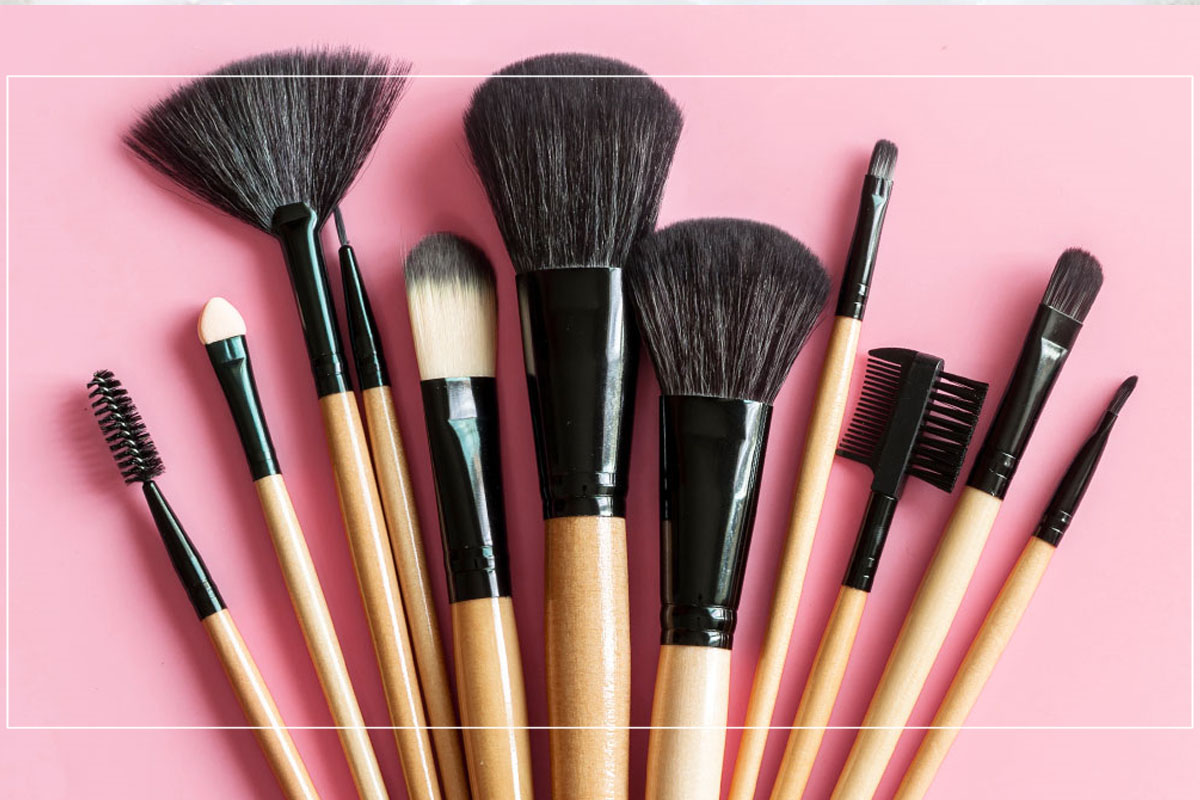 Top 5 Basic Makeup Brushes Guide HTV