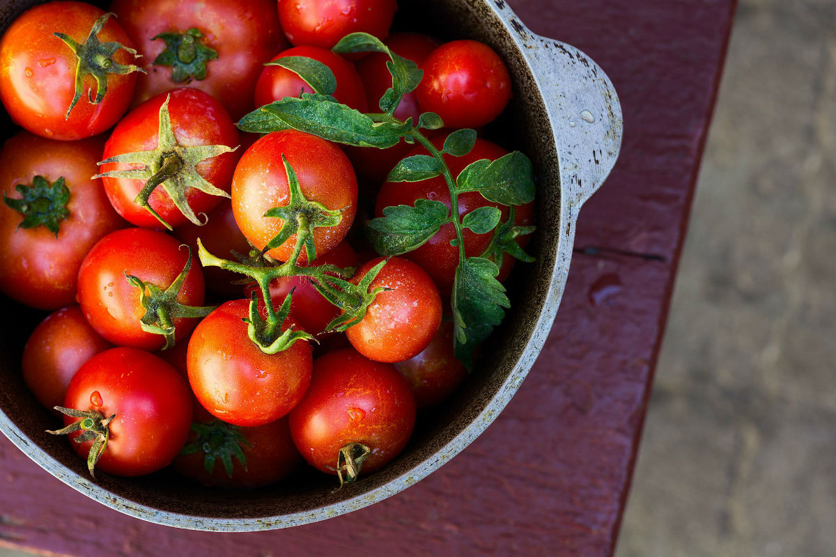 Tomatoes; Juicy, Delicious and Beneficial HTV