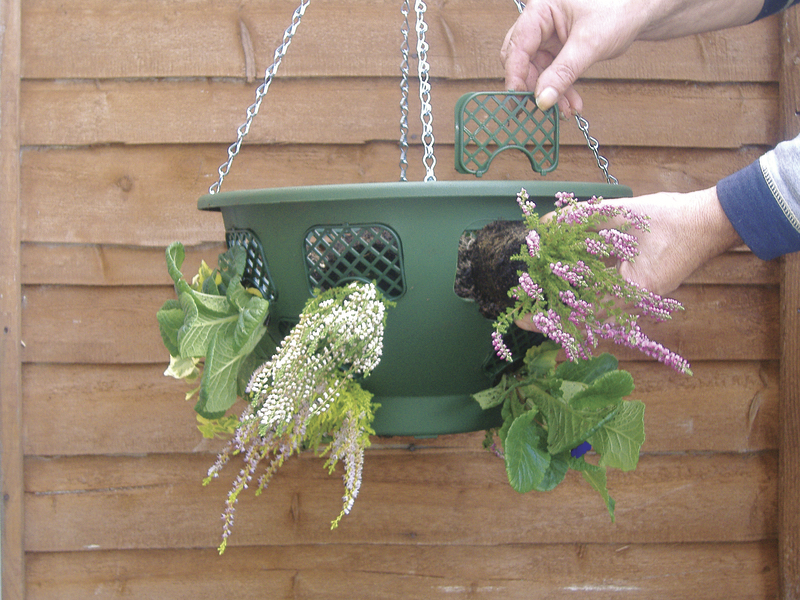 fillingeasyfillhangingbaskets Suttons Gardening Grow How