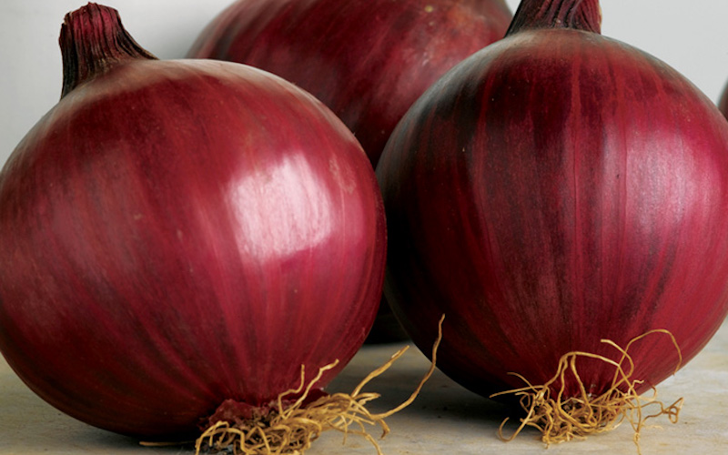 How to stop onions from bolting Suttons Gardening Grow How