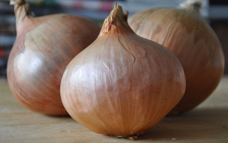 How to stop onions from bolting Suttons Gardening Grow How