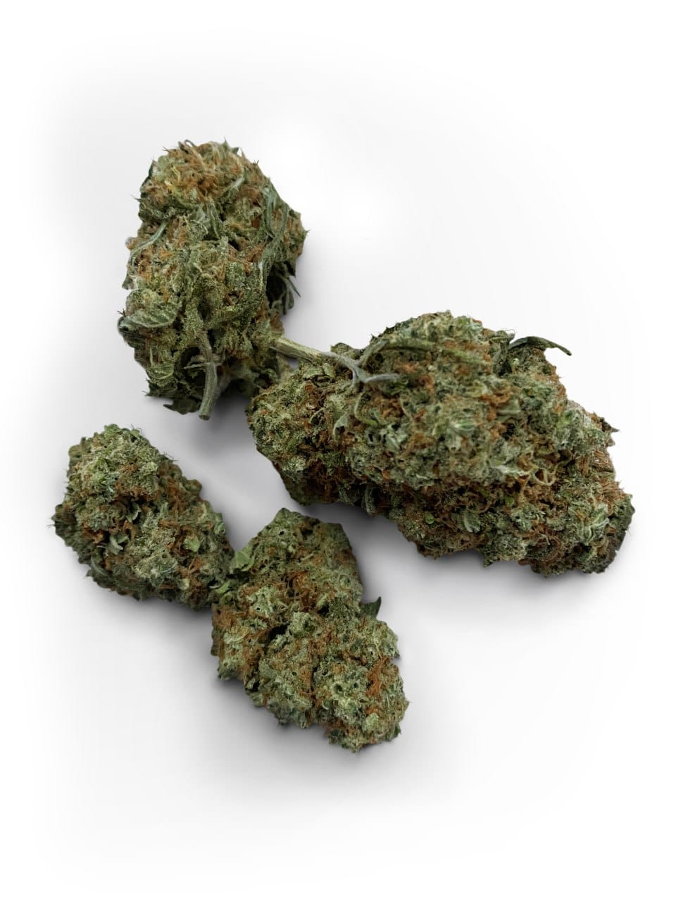 Buy Grease Monkey Strain Online UK Hub420