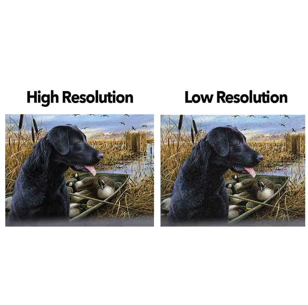 Direct to Garment Printing No Minimum Order HUB92PRINTS