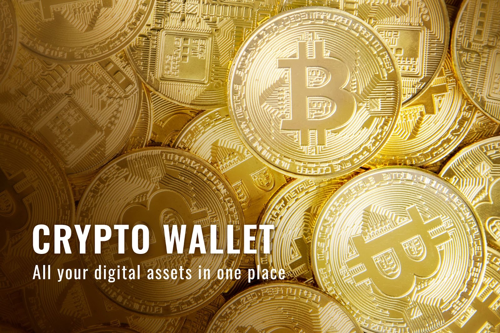 Coinbase Review The Ultimate Guide to the World's Leading