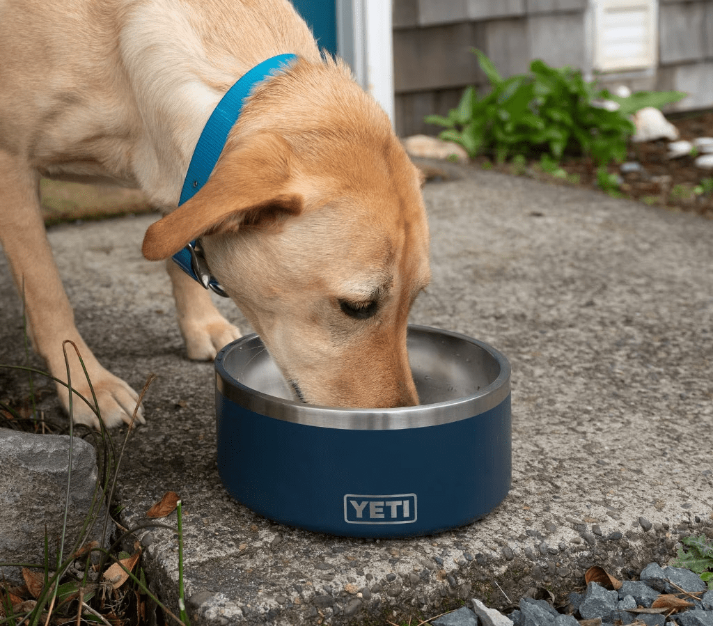 Yeti Boomer Dog Bowl Review Huck Adventures