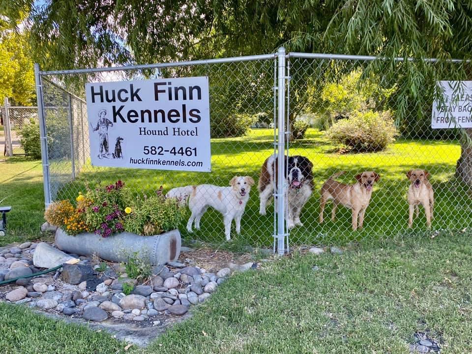 Gallery Family Operated Boarding Kennel For All Dog Breeds Huck