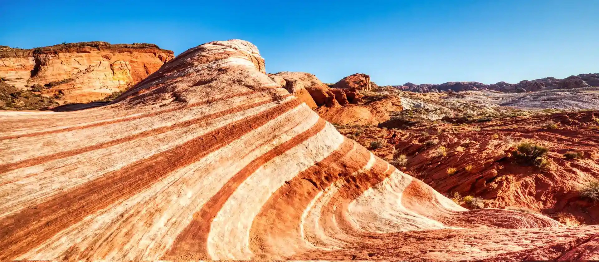 A Leader in Repossessed Real Estate in Nevada Hastings Brokerage, Ltd. Hastings Brokerage, Ltd