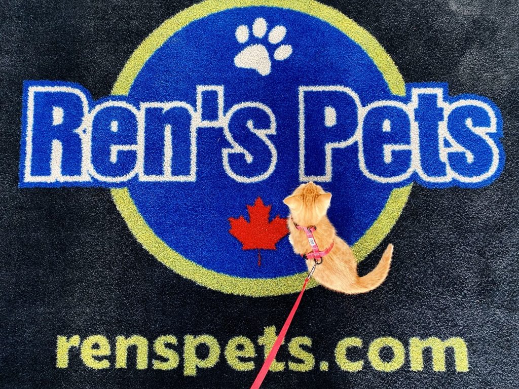 Ren’s Pets Opens 4th East Coast Store in Fredericton Huddle