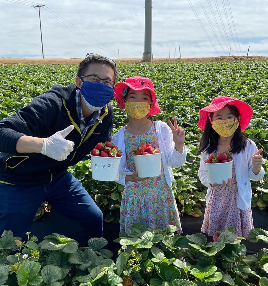 Strawberry Picking in Carlsbad Huddlebee