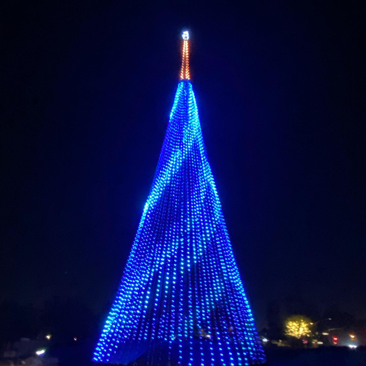 HIKARI A FESTIVAL OF LIGHTS at TANAKA FARMS Huddlebee