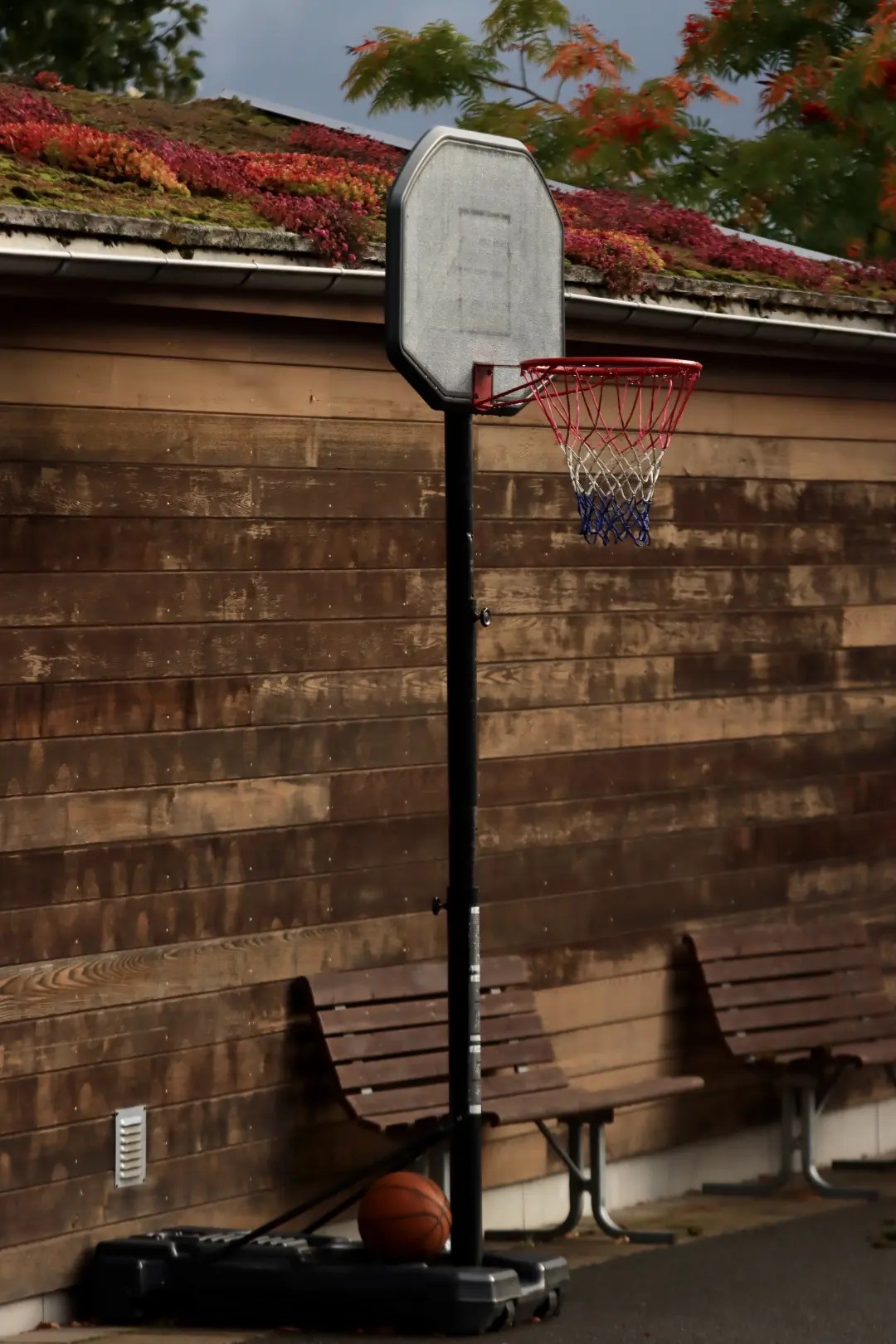 Choosing The Right Basketball Hoop Height For Every Age HC