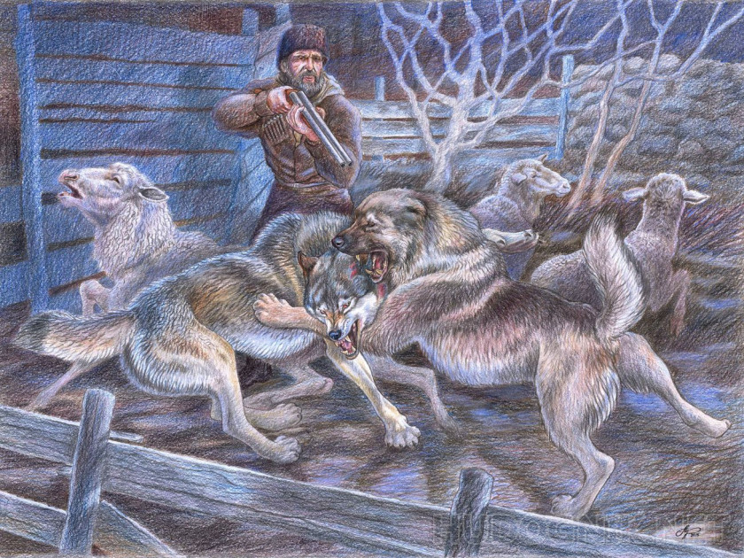 Картина "Овчарня". Размеры 60x47, Год 2016, Цена 20000 рублей