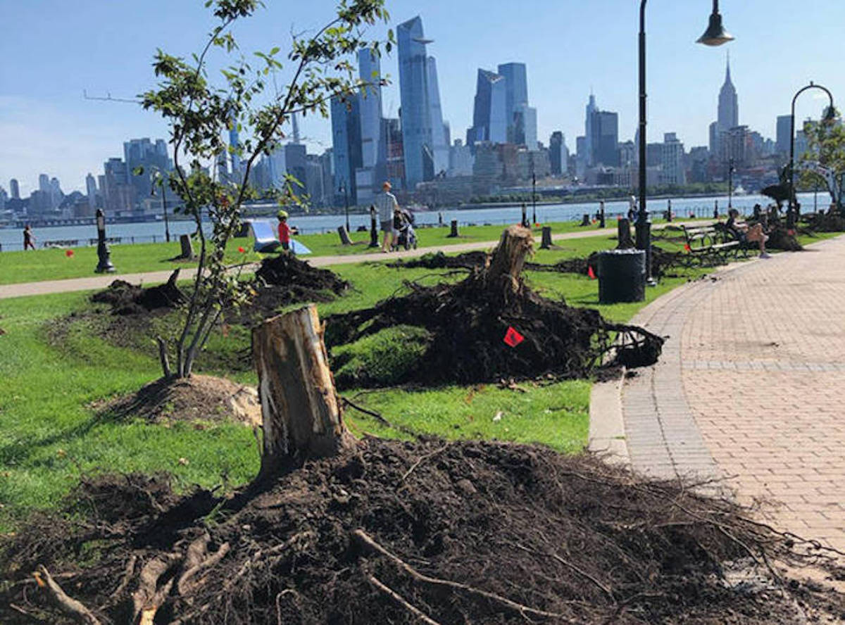 Hoboken Public Meeting Scheduled to Discuss Maxwell Park Landscape