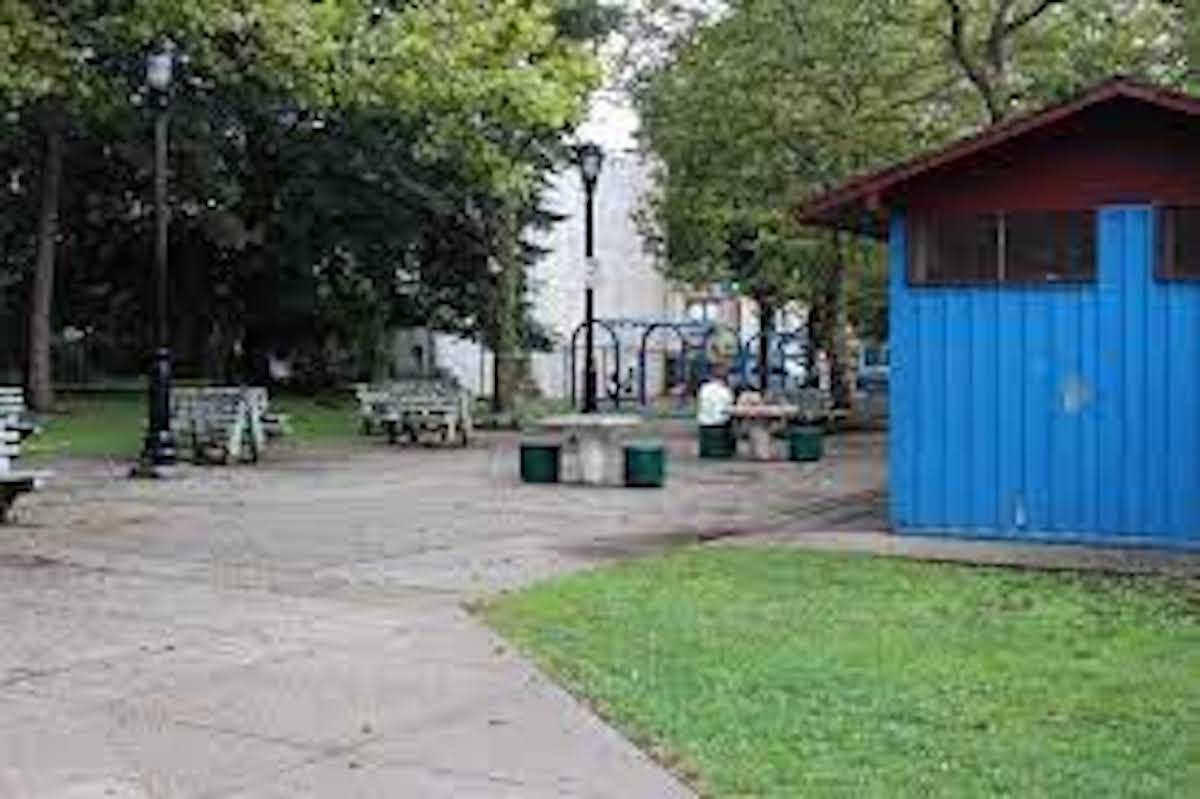 Bayonne To Light Christmas Tree in Fitzpatrick Park After ReOpening